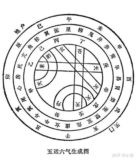 丙水|丙火喜欢甲木还是乙木 丙火要远离癸水吗